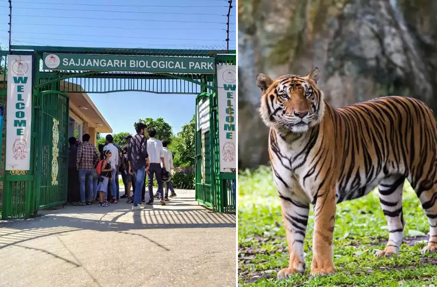 sajjangarh-zoological-park-67c6992735a5c